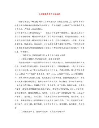 公司财务负责人工作总结