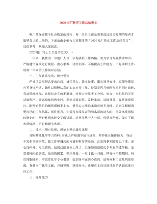 电厂转正工作总结范文1)