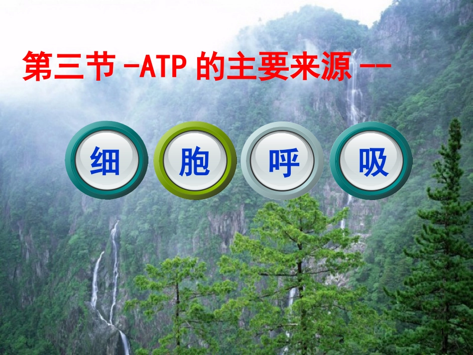 ATP的主要来源——细胞呼吸 ()_第1页