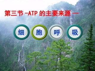ATP的主要来源——细胞呼吸 ()