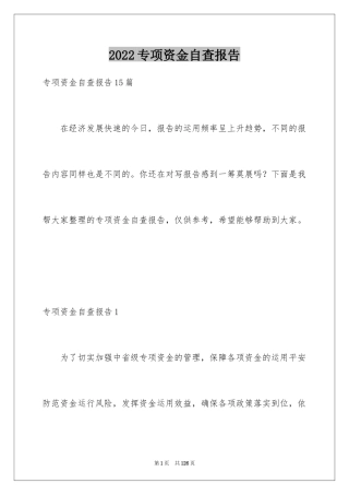 2024专项资金自查报告_2