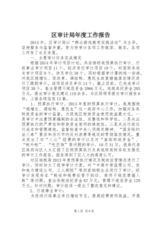 区审计局年度工作报告