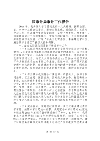 区审计局审计工作报告