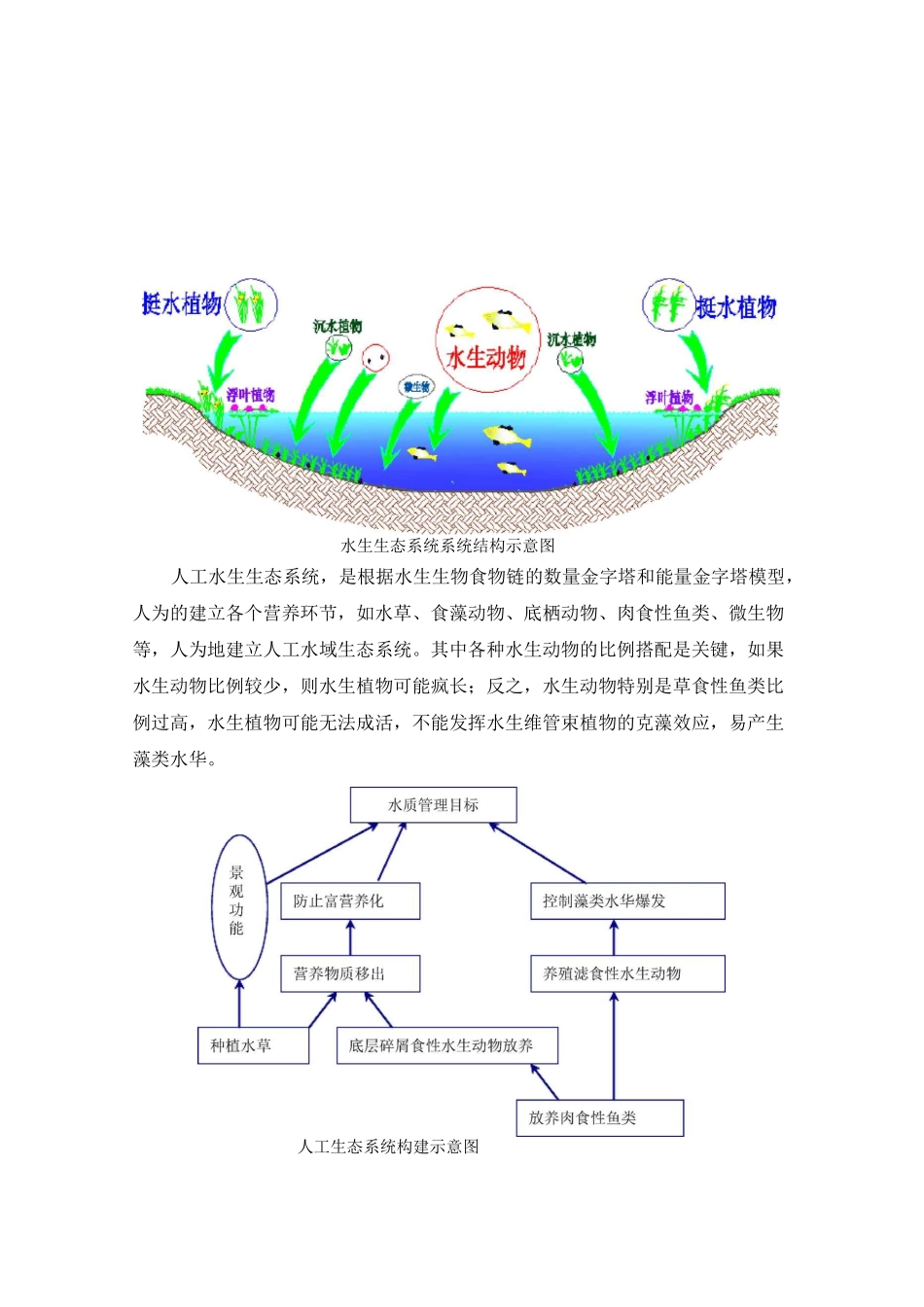 水生生态系统 上_第2页