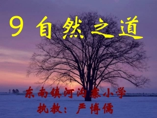自然之道课件 (3)