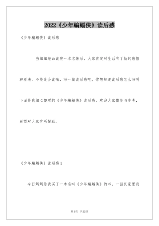 2024《少年蝙蝠侠》读后感_1