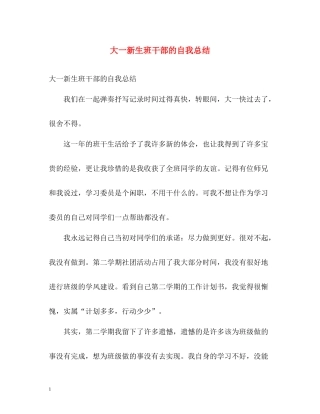大一新生班干部的自我总结