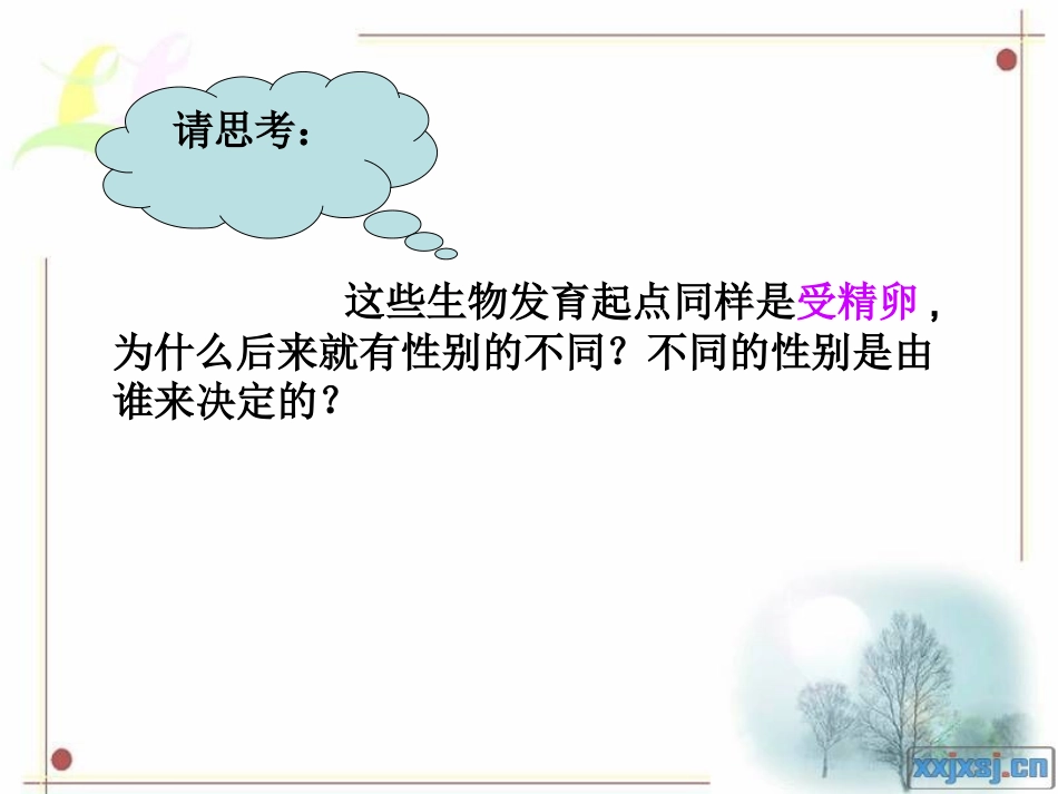 第三节性别决定与_第3页