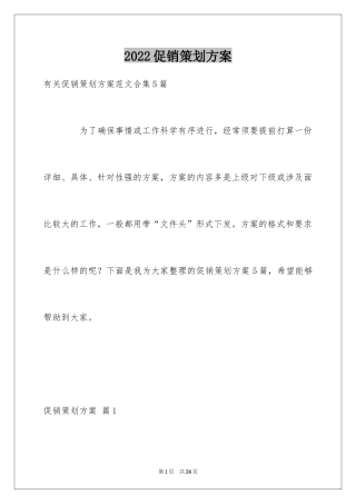 2024促销策划方案_57