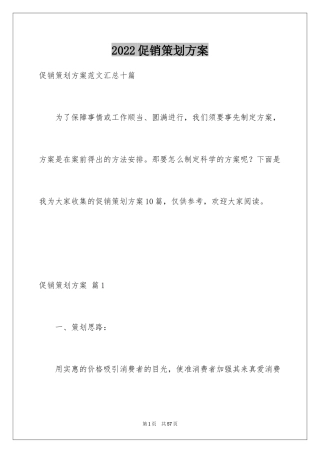 2024促销策划方案_1