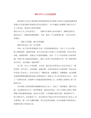 银行行长个人工作总结报告
