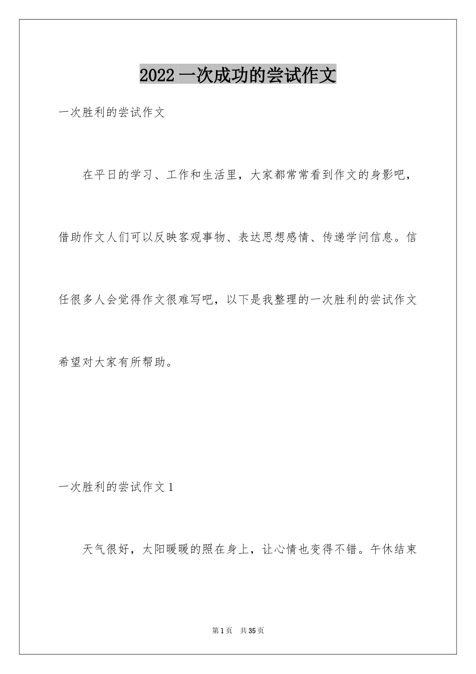2024一次成功的尝试作文_第1页