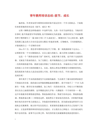 青年教师培训总结拔节，成长