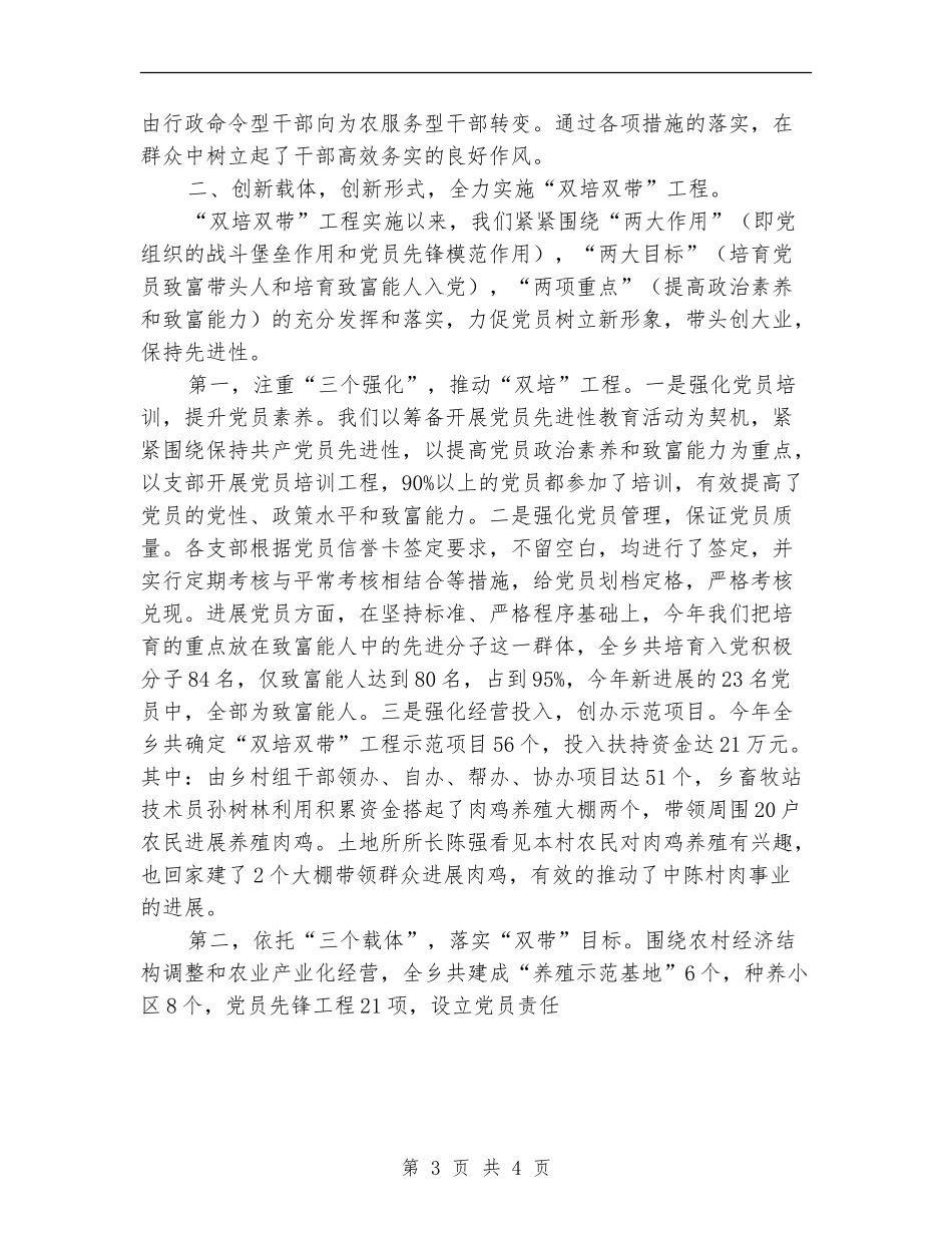 乡镇党委年度工作总结【最新版】_第3页