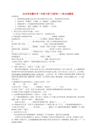 安徽省“合肥十校”2016届九年级语文大联考试题（一）