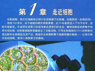 从生物圈到细胞