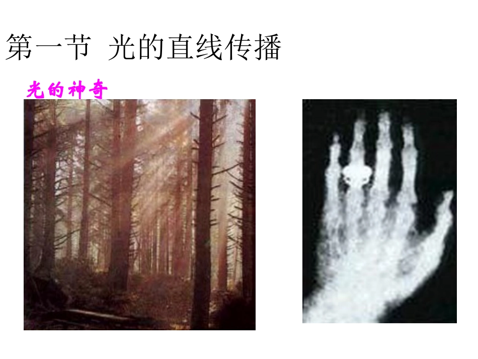 第一节+光的直线传_第1页