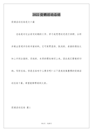 2024促销活动总结_136