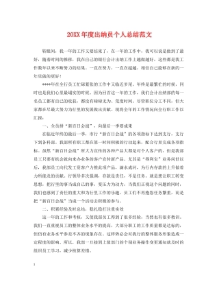 出纳员个人总结范文