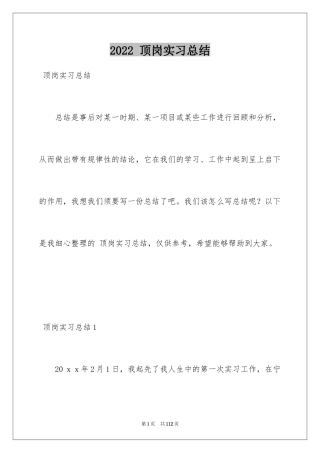 2024 顶岗实习总结
