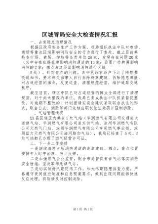 区城管局安全大检查情况汇报