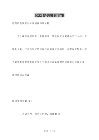 2024促销策划方案_10