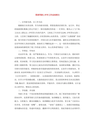 资深导游上半年工作总结例文