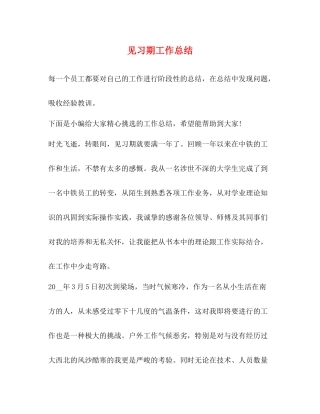 见习期工作总结