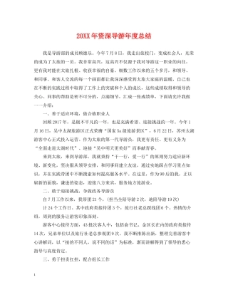 资深导游年度总结2