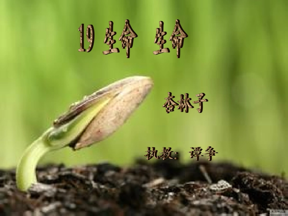 生命生命谭争_第1页