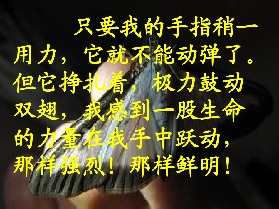 生命生命谭争_第2页