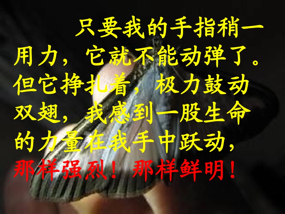 生命生命谭争_第3页