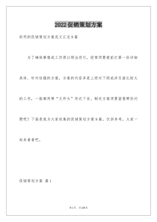 2024促销策划方案_35