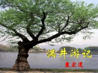 第29课满井游记课件