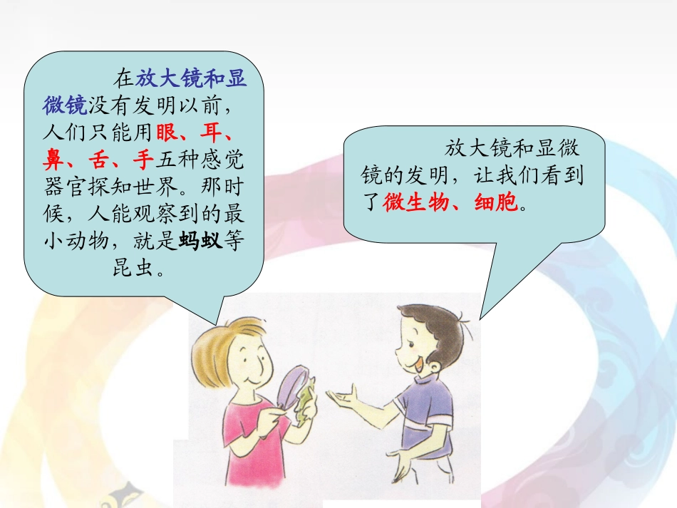 教科版六下18微小世界和我们_第3页