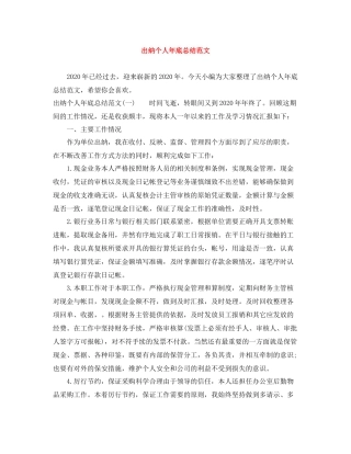 出纳个人年底总结范文