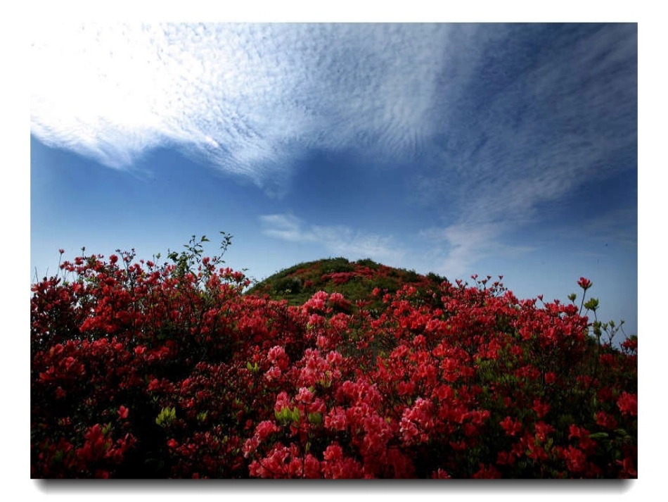 记金华课件微课_第2页