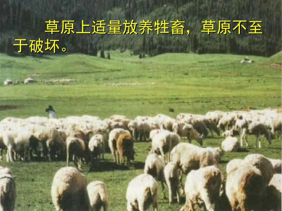 四、生态系统的稳定性_第3页