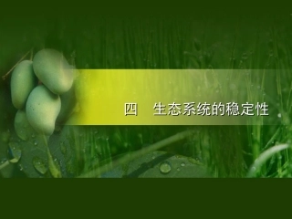 四、生态系统的稳定性