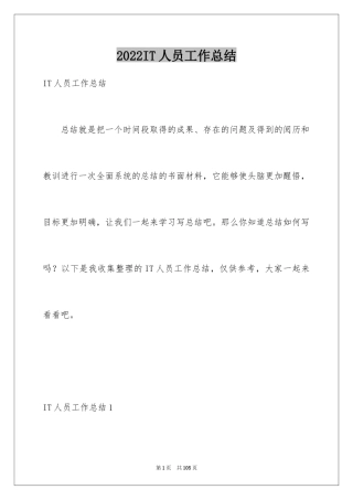 2024IT人员工作总结