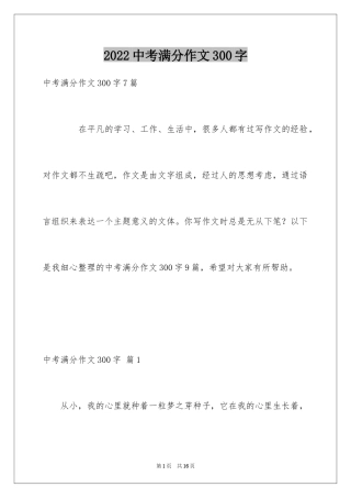 2024中考满分作文300字_13