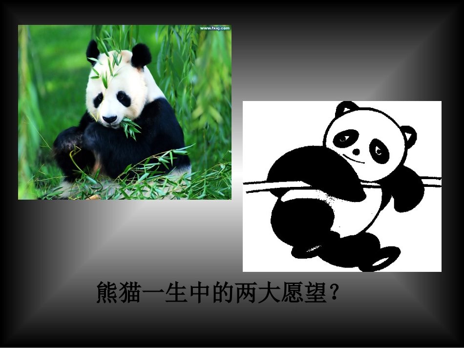 黑白装饰画的美感_第1页