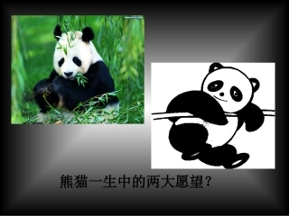 黑白装饰画的美感