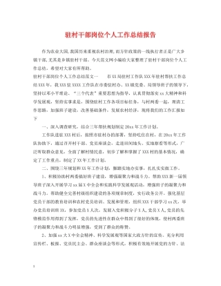 驻村干部岗位个人工作总结报告