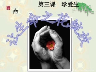 让生命之花绽放PPT