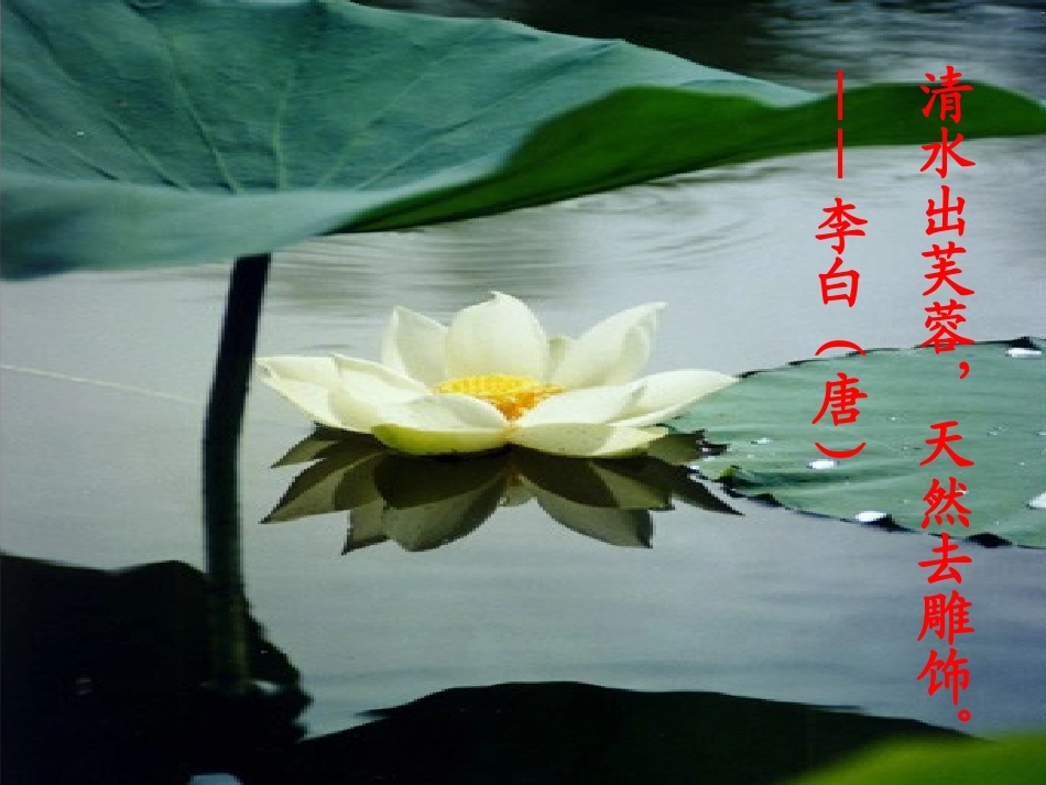 爱莲说-课件_第3页