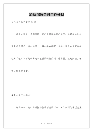 2024保险公司工作计划_3