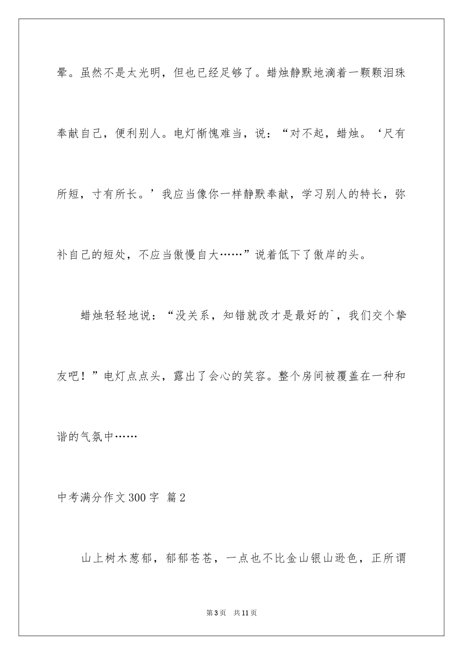 2024中考满分作文300字_29_第3页