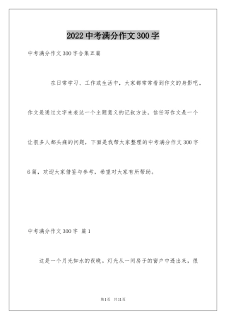 2024中考满分作文300字_29