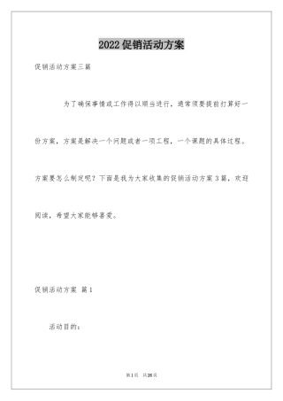 2024促销活动方案_38